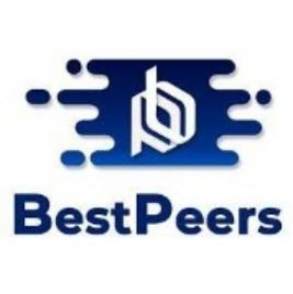 BestPeers Infosystem Pvt Ltd.